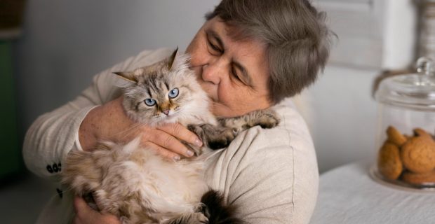 gato e tutor