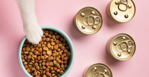 alimentação saudável