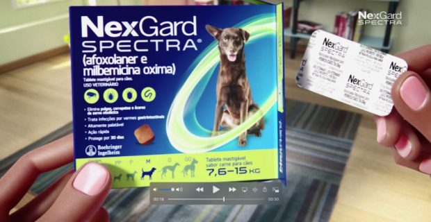 nexgard spectra