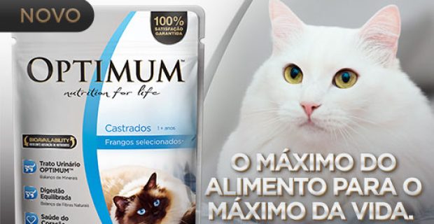 optimumgato-1522687624