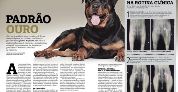 padraoouro