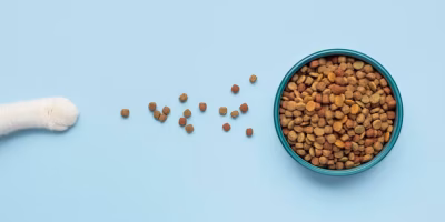 Exportações do mercado pet ganham força com interesse saudita em produtos brasileiros