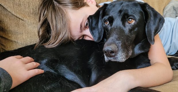 People and pets as generation z boy on a couch hugging his cute pet a Labrador retriever.