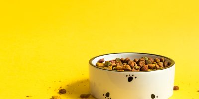 Pet food bowl with dry granulated food on a yellow background.