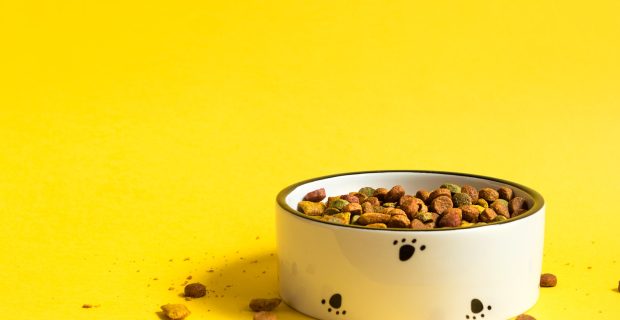 Pet food bowl with dry granulated food on a yellow background.