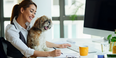 pet no trabalho