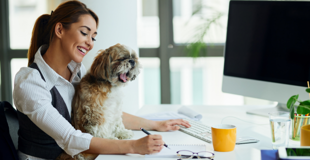 pet no trabalho