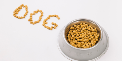 pet nutrição