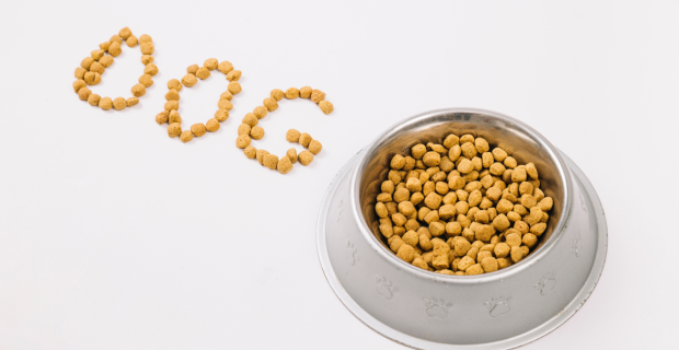 pet nutrição