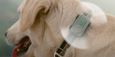petphone
