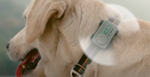 petphone