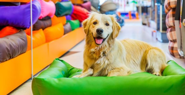 petshop