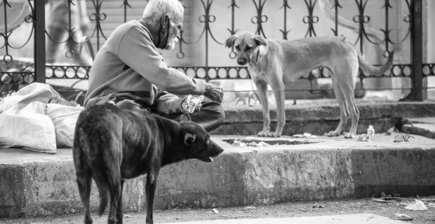 Natal Solidário abraça pets e donos em situação de rua no Rio de Janeiro