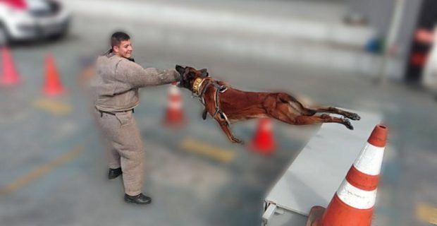 policia