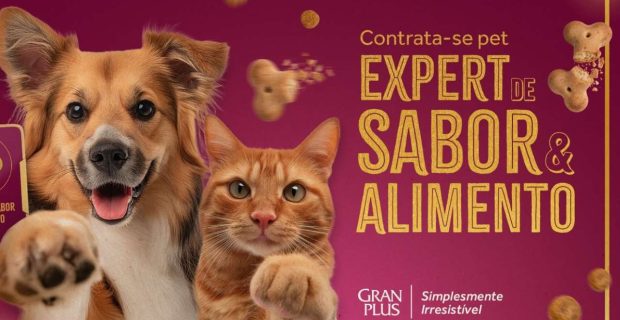 vaga de emprego