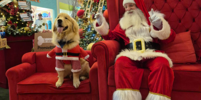 Pets têm momento único com Papai Noel em Guarulhos