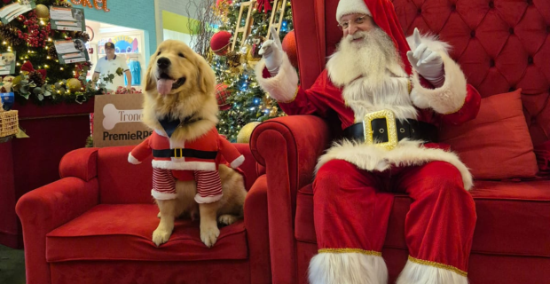 Pets têm momento único com Papai Noel em Guarulhos