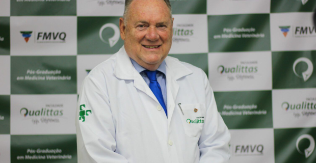 Castração no primeiro ano de vida do cão é eficaz para prevenir doenças prostáticas