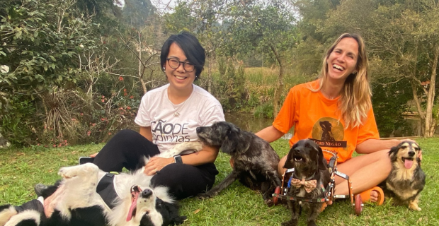 cão rodinhas