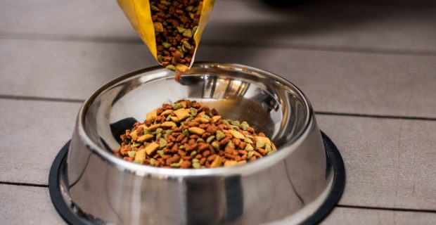 Brasil amplia exportações com abertura de mercado mexicano para alimentação animal