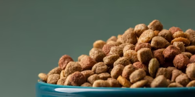 Mercado português de pet food fatura acima de 90 milhões de euros em 2024