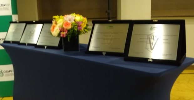 premio crmv