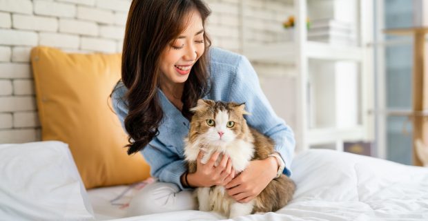 Pretty Asian woman hug cat and sit on bed with happy emotion while cat look at camera