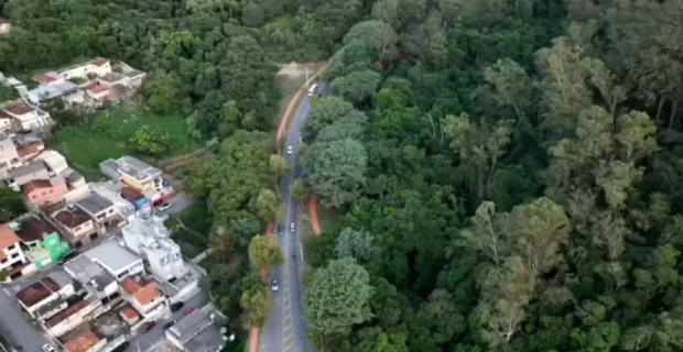 projeto de preservação são roque