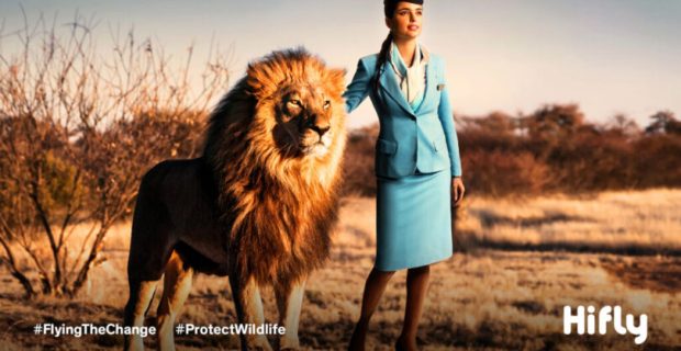 protectwildlife_1_screensaver_2500p-1024x576-1-810x456