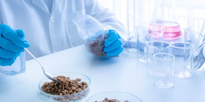 Segurança de alimentos pet: 10 pontos críticos para fortalecer o sistema nas fábricas