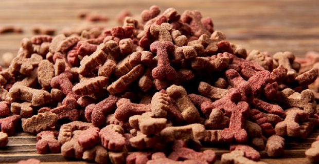selective focus of pile of dog food on wooden table