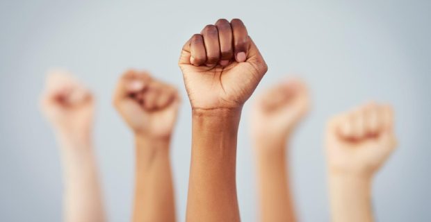 CRMV-SP denuncia racismo e xenofobia