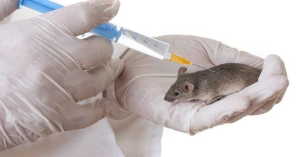 ratoinjecao