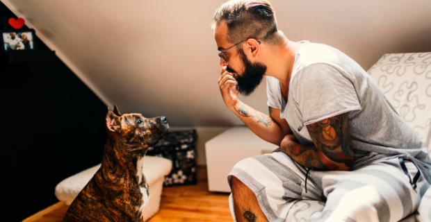 tutor-cão
