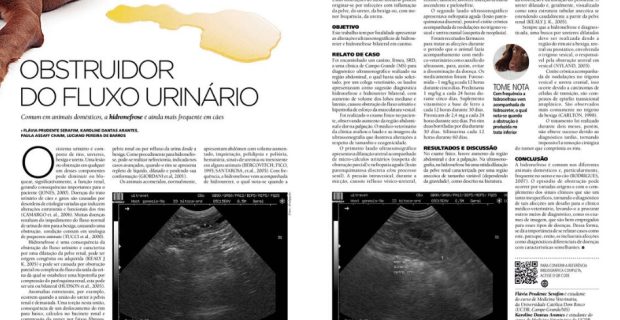 relato_1