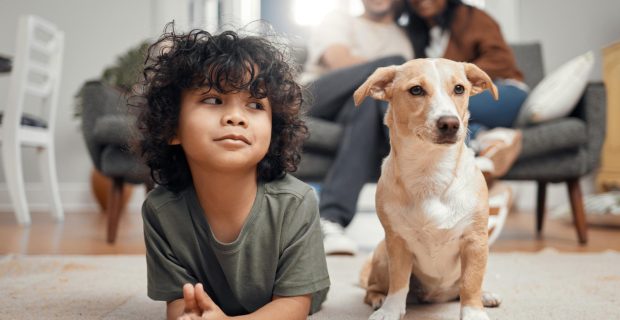 dia dos animais