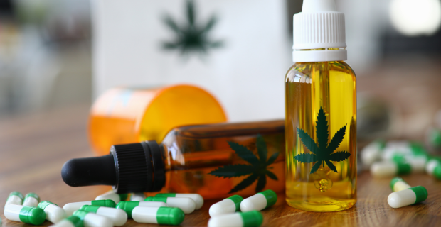 Uso de Cannabis para tratamento animal deve passar por autorização judicial