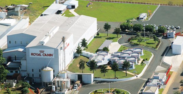 royal-canin-foto-aerea-1577456391