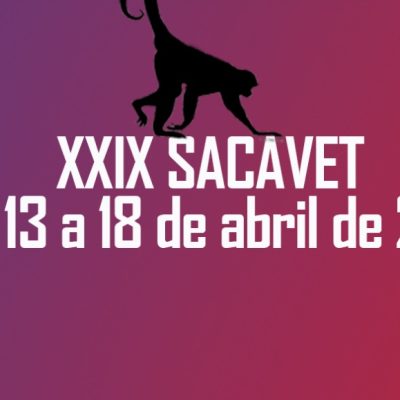 sacavet1-1544026505