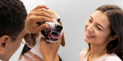 saude oral pet