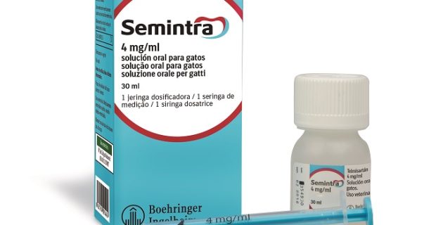 semintrabi