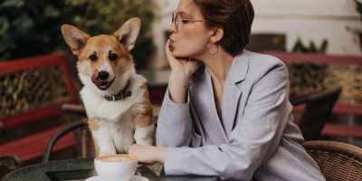Babá de cachorro pode ganhar até R$ 1,5 milhão por ano nos EUA