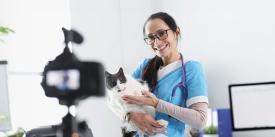 Comunicação profissional na Medicina Veterinária exige atenção às normas éticas