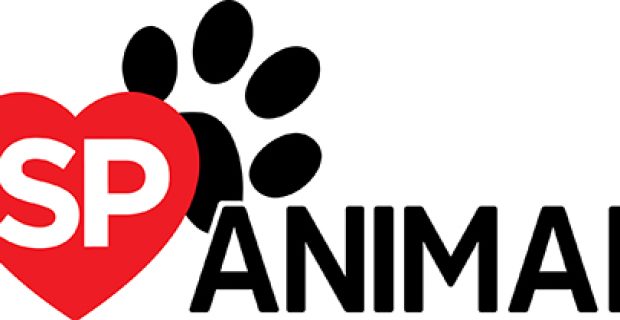 sp animal