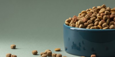 Brasil amplia presença internacional com habilitação de 40 plantas de pet food para a Costa Rica