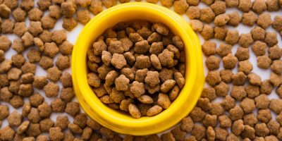 top view of dry pet food in plastic yellow bowl