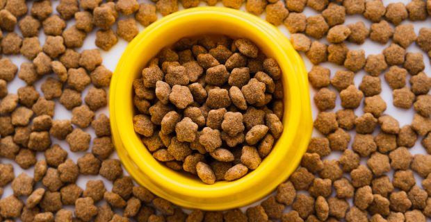 top view of dry pet food in plastic yellow bowl