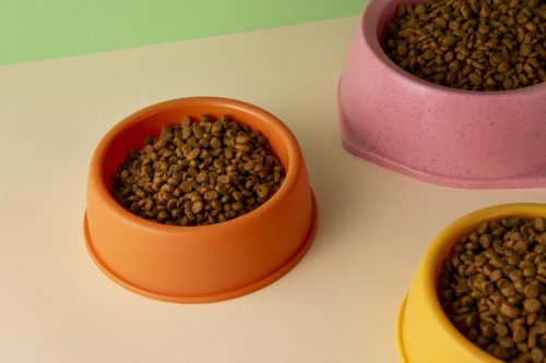 Mercado de antioxidantes para pet food deve movimentar mais de R$ 2 bilhões até 2033