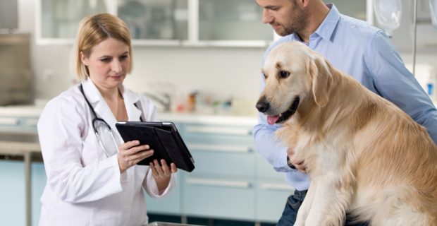 tutor_pet_veterinaria