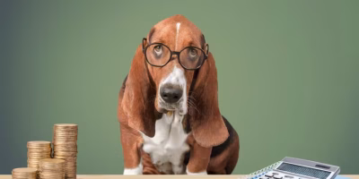 Economia do mercado pet se ajusta em 2026 com mudanças no perfil dos tutores